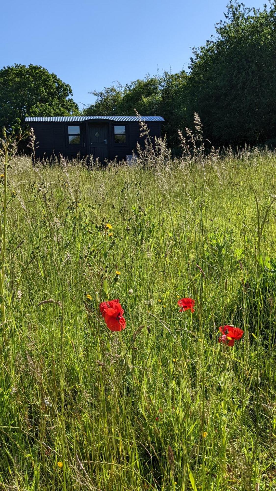 Готель Blue Sky Huts Chediston Екстер'єр фото